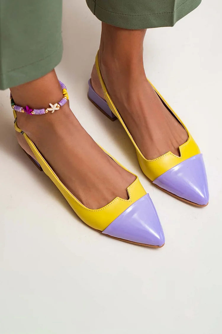 Bicolored Pointed Ballet Flats