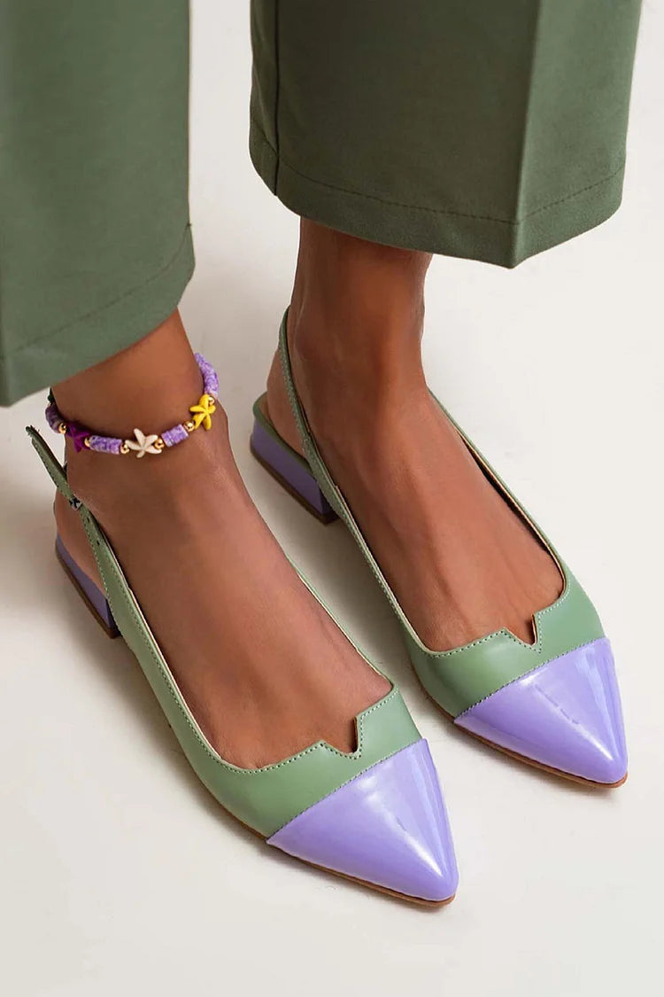 Bicolored Pointed Ballet Flats