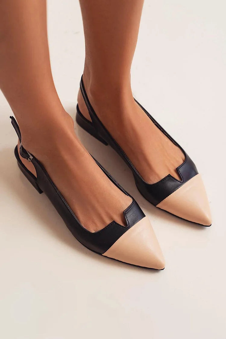 Bicolored Pointed Ballet Flats